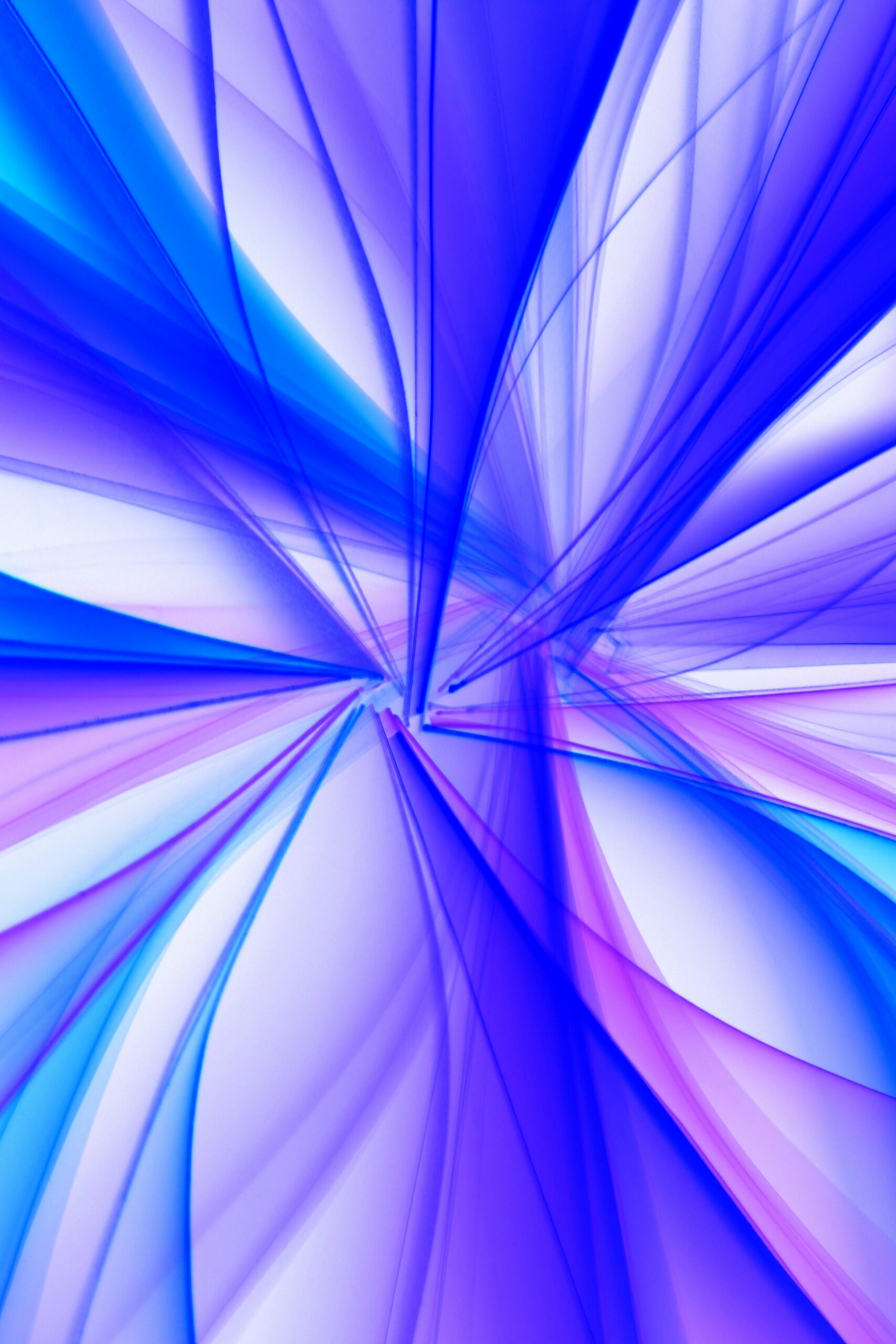 pexels diva 34117714