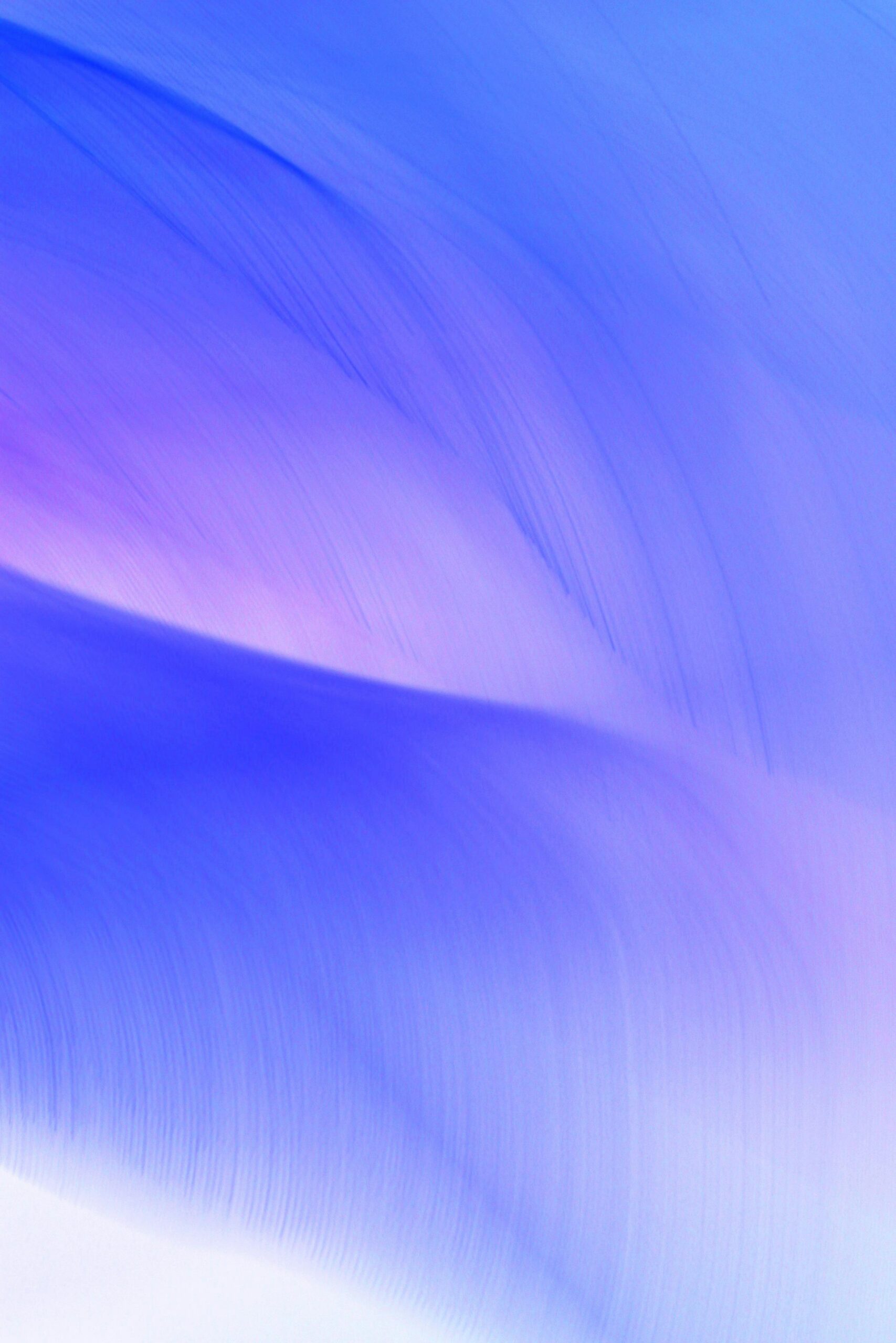 pexels diva 34131662